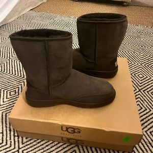 Brand new mens short UGGS